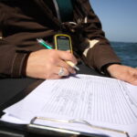Taking behavioural data every 3 minutes